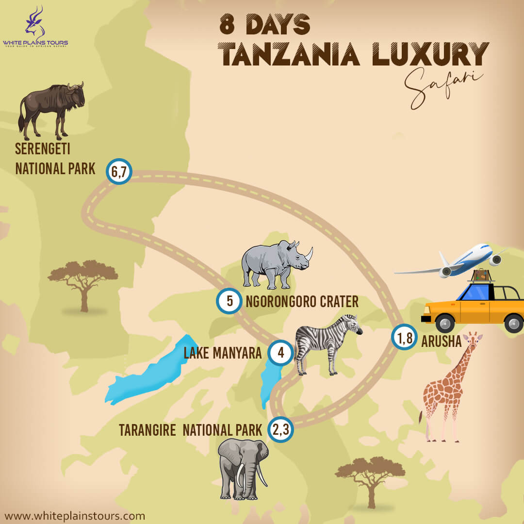 8 Days Tanzania Luxury Safari Map