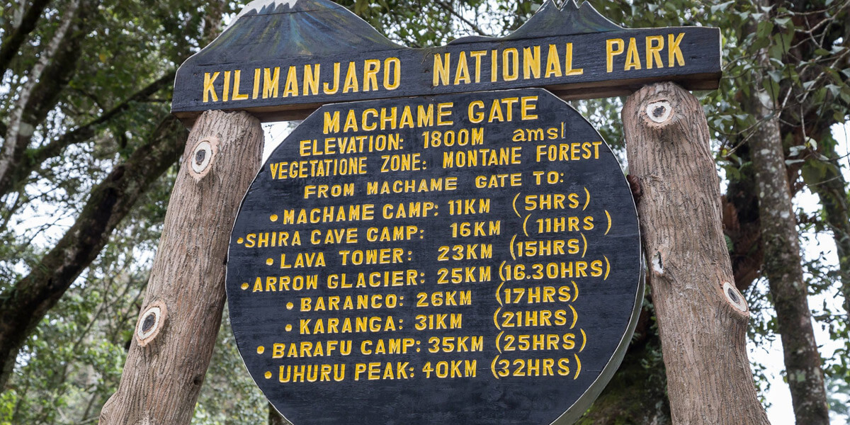 9 Days Machame Route Gallery