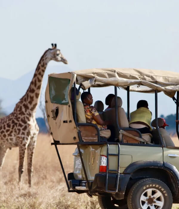 best east africa safari tours