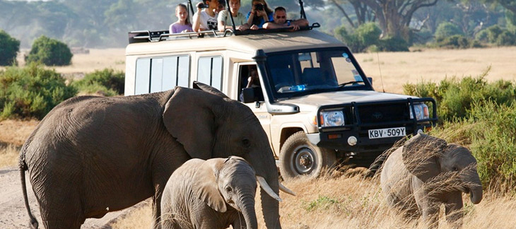 Kenya Safari FAQs