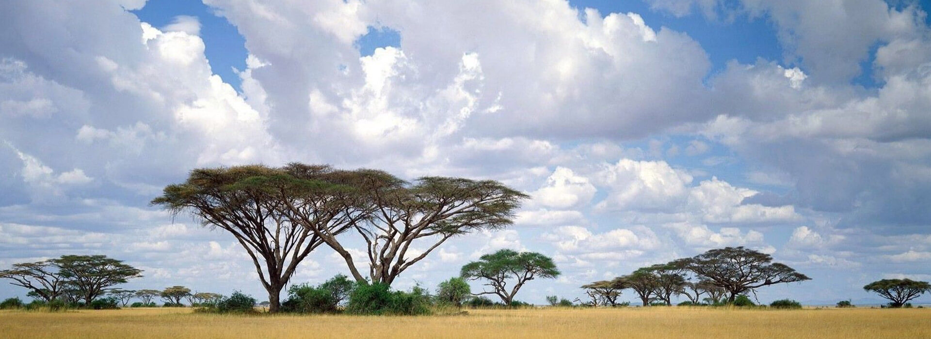 Kenya Weather Climate