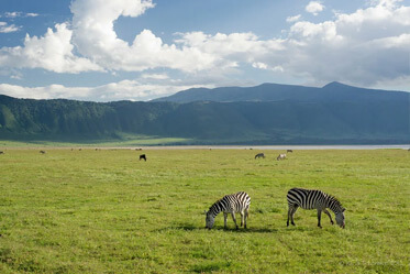Ngorongoro Crater Gallery