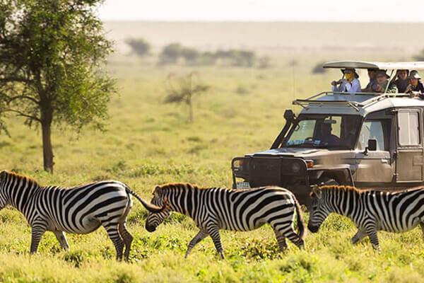 Kenya Safari Faqs