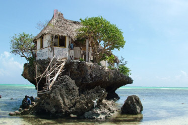 Zanzibar Island Gallery